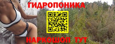 стаф Пенза
