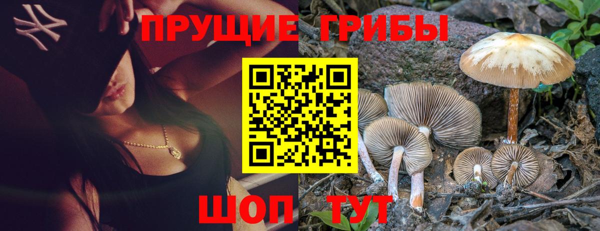 Галлюциногенные грибы прущие грибы Партизанск