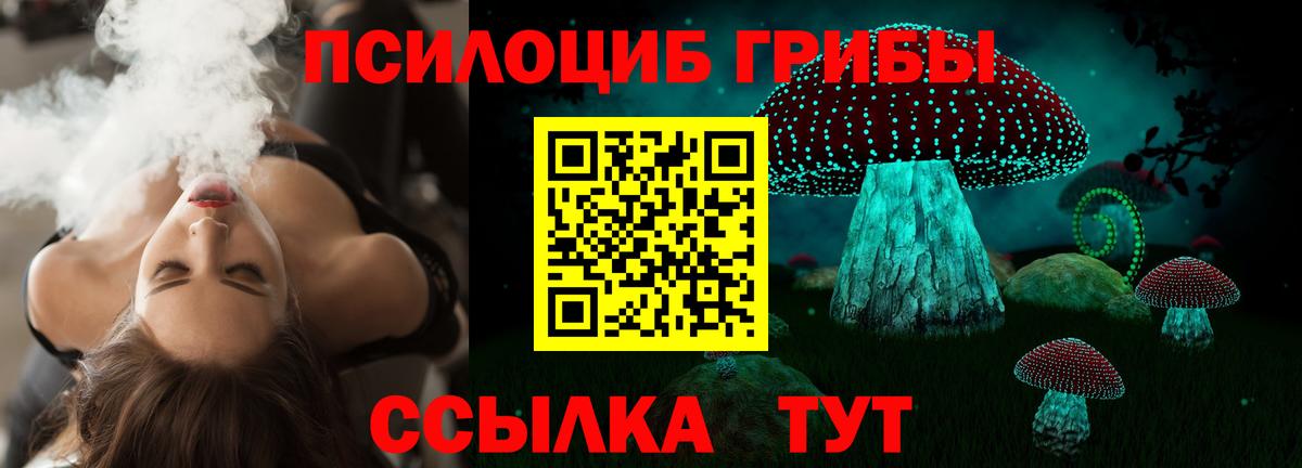 Партизанск  Галлюциногенные грибы Psilocybine cubensis  Вход с VPN 